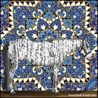 Horse Color:Black  and White Spotted Black 