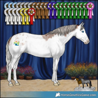 Horse Color:Silver Brown Roan Splash Appaloosa