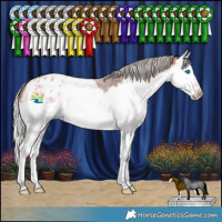 Horse Color:Silver Brown Roan Splash Appaloosa