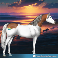 Horse Color:Silver Bay Splash Rabicano