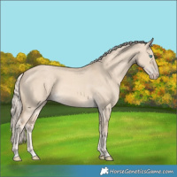 Horse Color:Cremello Dun 