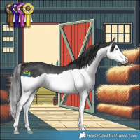 Horse Color:Black Splash Rabicano