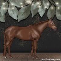 Horse Color:Gray Chestnut 
