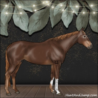 Horse Color:Gray Chestnut