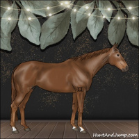 Horse Color:Gray Chestnut 