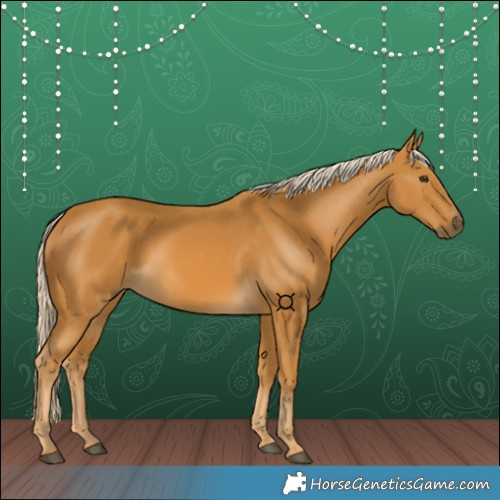 Horse Color:Palomino