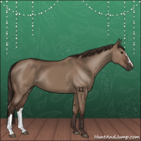 Horse Color:Liver Red Dun 