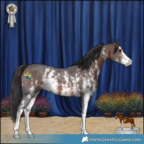Horse Color:Brown Sabino 