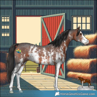 Horse Color:Brown Sabino