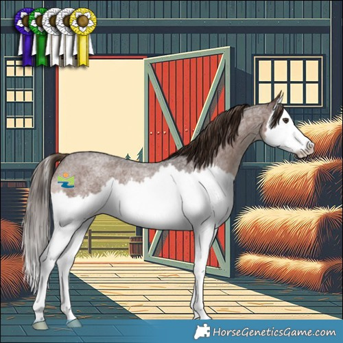 Horse Color:Liver Red Roan Splash Rabicano 