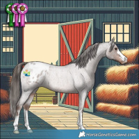 Horse Color:Liver Red Roan Appaloosa Rabicano