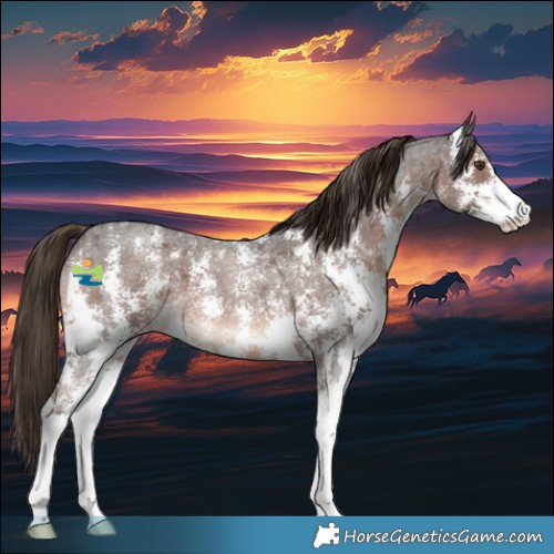 Horse Color:Liver Red Roan Sabino 