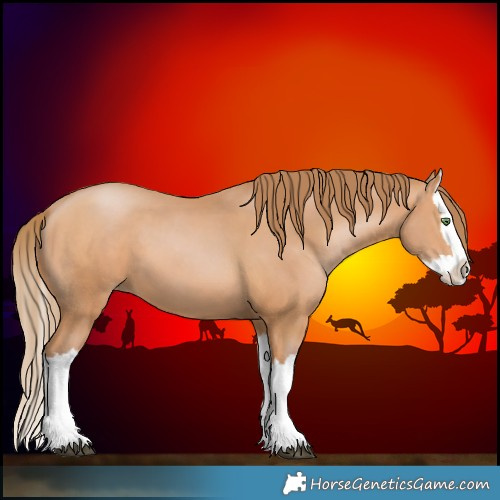 Horse Color:Bay Pearl Splash 