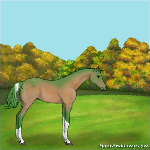 Horse Color:Watercolor Brown Tobiano 
