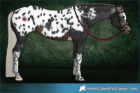 Horse Color:Gray White Spotted Silver Brown Tobiano Blanket 