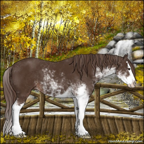 Horse Color:Liver Chestnut Sabino Splash 