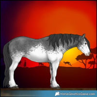 Horse Color:White Spotted Blue Roan Rabicano 