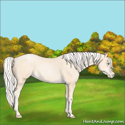 Horse Color:Silver Amber Cream Champagne Pearl 