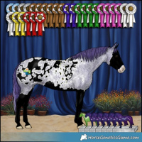 Horse Color:Watercolor Blue Ice Roan Splash Appaloosa
