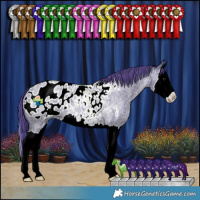Horse Color:Watercolor Blue Ice Roan Splash Appaloosa