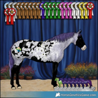 Horse Color:Watercolor Blue Ice Roan Splash Appaloosa
