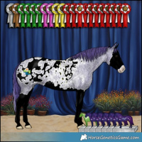Horse Color:Watercolor Blue Ice Roan Splash Appaloosa 