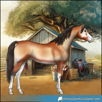 Horse Color:Bay Onyx 