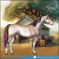 Horse Color:Platinum Painted Bay Onyx 