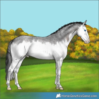 Horse Color:Brown Roan Splash 