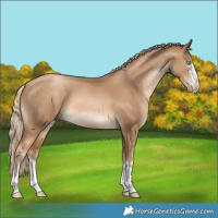 Horse Color:Chocolate Palomino Pearl