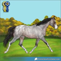 Horse Color:White Spotted Brown Roan Blanket 