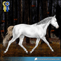 Horse Color:White Spotted Buckskin Dun Tobiano Blanket Rabicano 