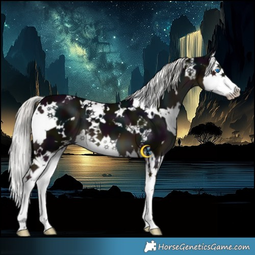 Horse Color:White Spotted Midnight Liver Chestnut Mushroom Splash