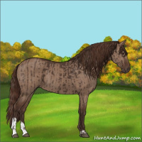 Horse Color:Liver Chestnut  and Liver Red Dun 