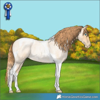 Horse Color:Buckskin Roan Pearl Tobiano 