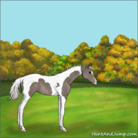 Horse Color:Silver Black Tobiano 
