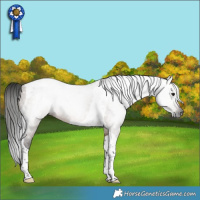 Horse Color:Gray Brown Dun Tobiano 