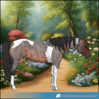 Horse Color:Brown Roan Tobiano 