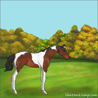 Horse Color:Brown Tobiano