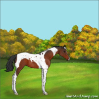 Horse Color:Brown Tobiano 