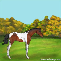 Horse Color:Bay Tobiano 