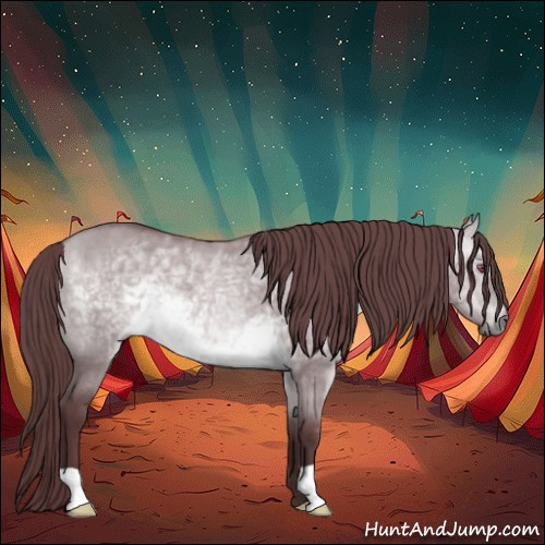 Horse Color:Chocolate Bay Chinchilla Dun 