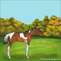 Horse Color:Bay Tobiano 