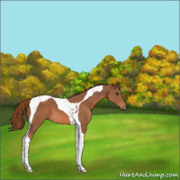 Horse Color:Chestnut Tobiano 
