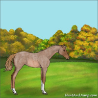 Horse Color:Red Roan Tobiano 