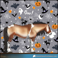 Horse Color:Bay Onyx Tobiano 