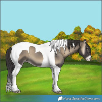 Horse Color:Smoky Blue Onyx Tobiano 