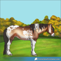Horse Color:Brown Onyx Tobiano