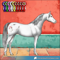Horse Color:Liver Chestnut Sabino Tobiano Varnish 