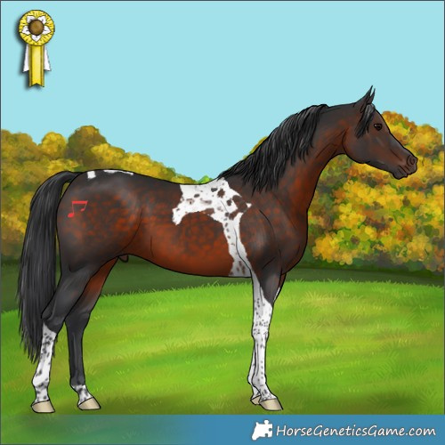 Horse Color:Brown Tobiano 
